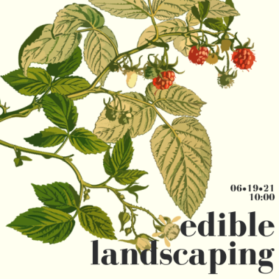 Edible Landscaping Thumbnail