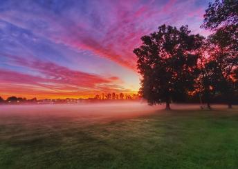 Morning fog in Veterans Memorial Park